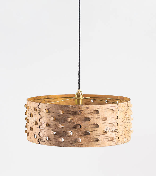 newsletter-square-big-moya-birch-bark
